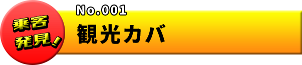 No.001 観光カバ